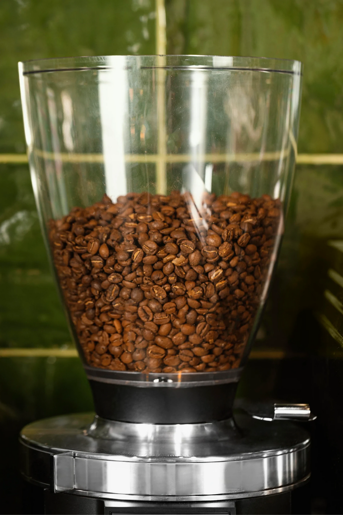 How Much Coffee Does a Café Use Per Month?
