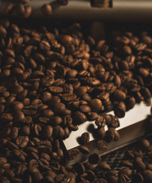 Private Label vs Bespoke Roasting: Which Specialty Coffee Solution Is Right for Your Business?