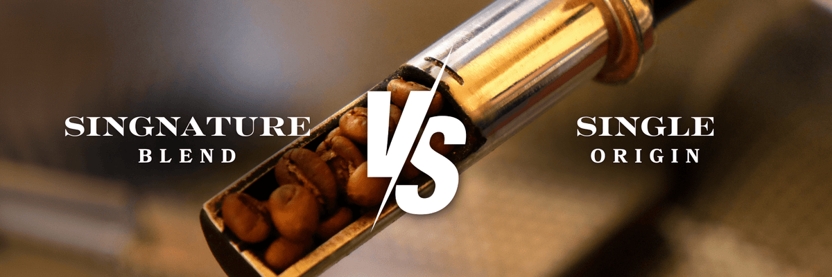 Coffee Blend vs. Single-Origin: How Roasting Brings Out Unique Coffee Flavors - Flava Coffee
