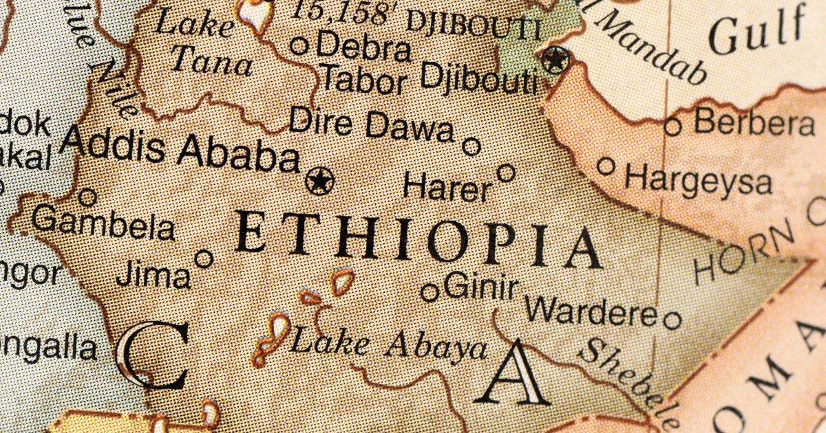 Ethiopian Coffee: The Ultimate Guide