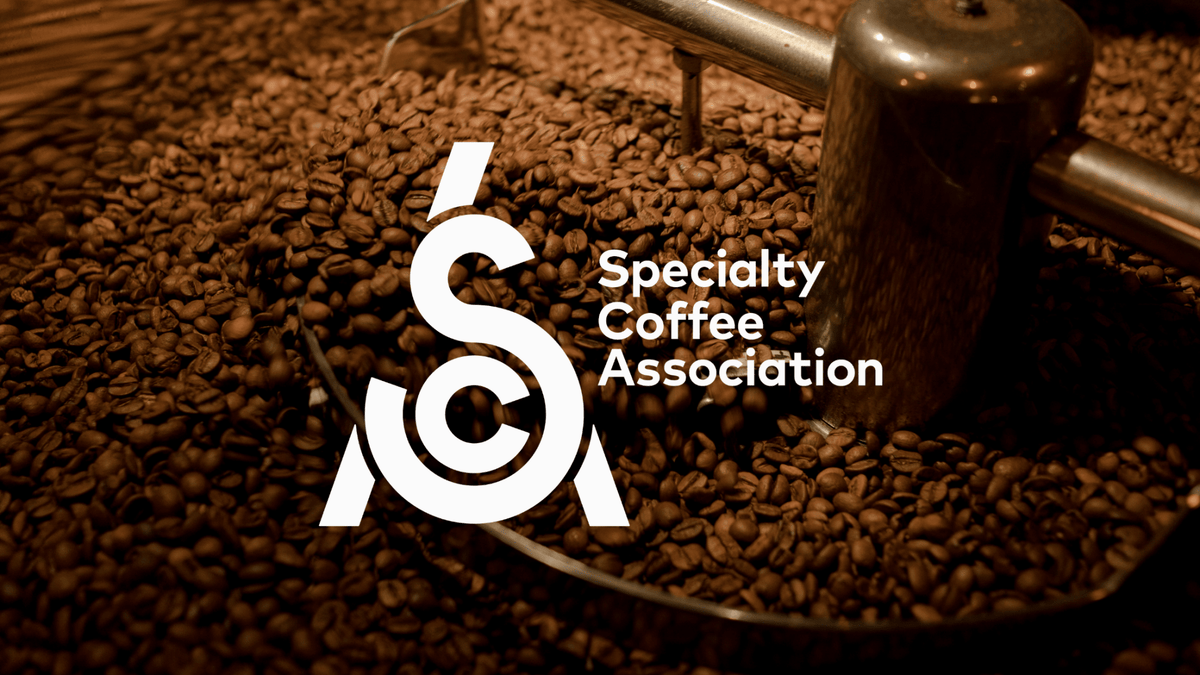 Specialty Coffee Association - Beginners Guide - Flava Coffee