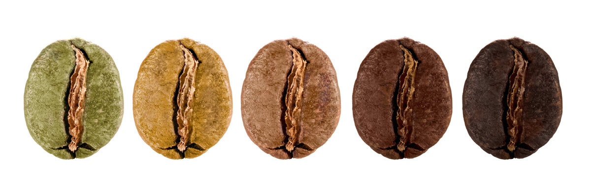 Roasted beans at several roast stages, illustrating roast appearance for automatic-machine buyers