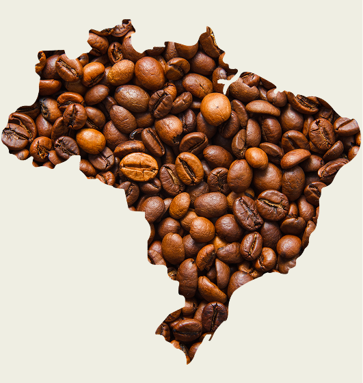 Premium Brazilian Coffee | Fresh Roasted Beans & Ground Coffee