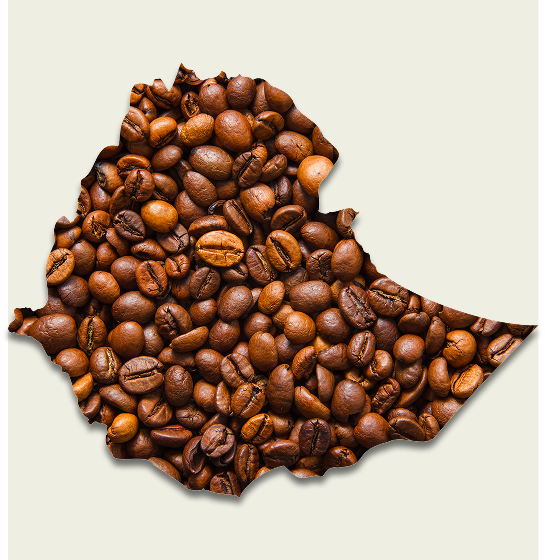 Premium Ethiopian Coffee Beans & Ground Coffee | Fresh & Authentic