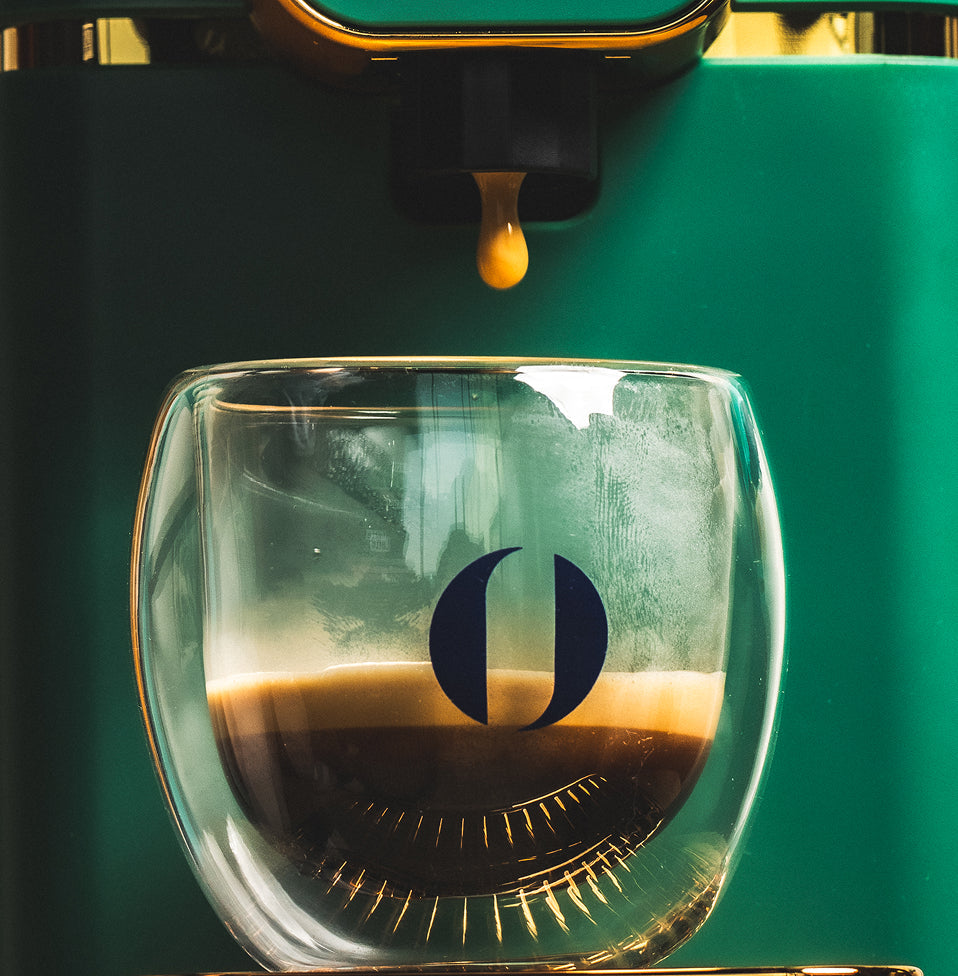 specialty coffee beans dubai – flava coffee