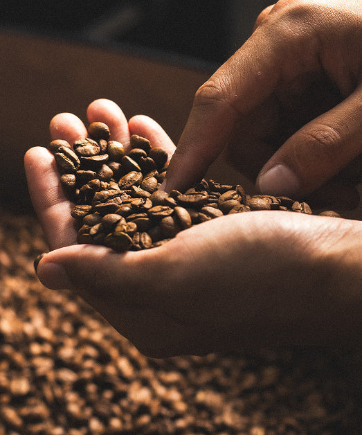 buy coffee beans online uae-fresh roasted coffee
