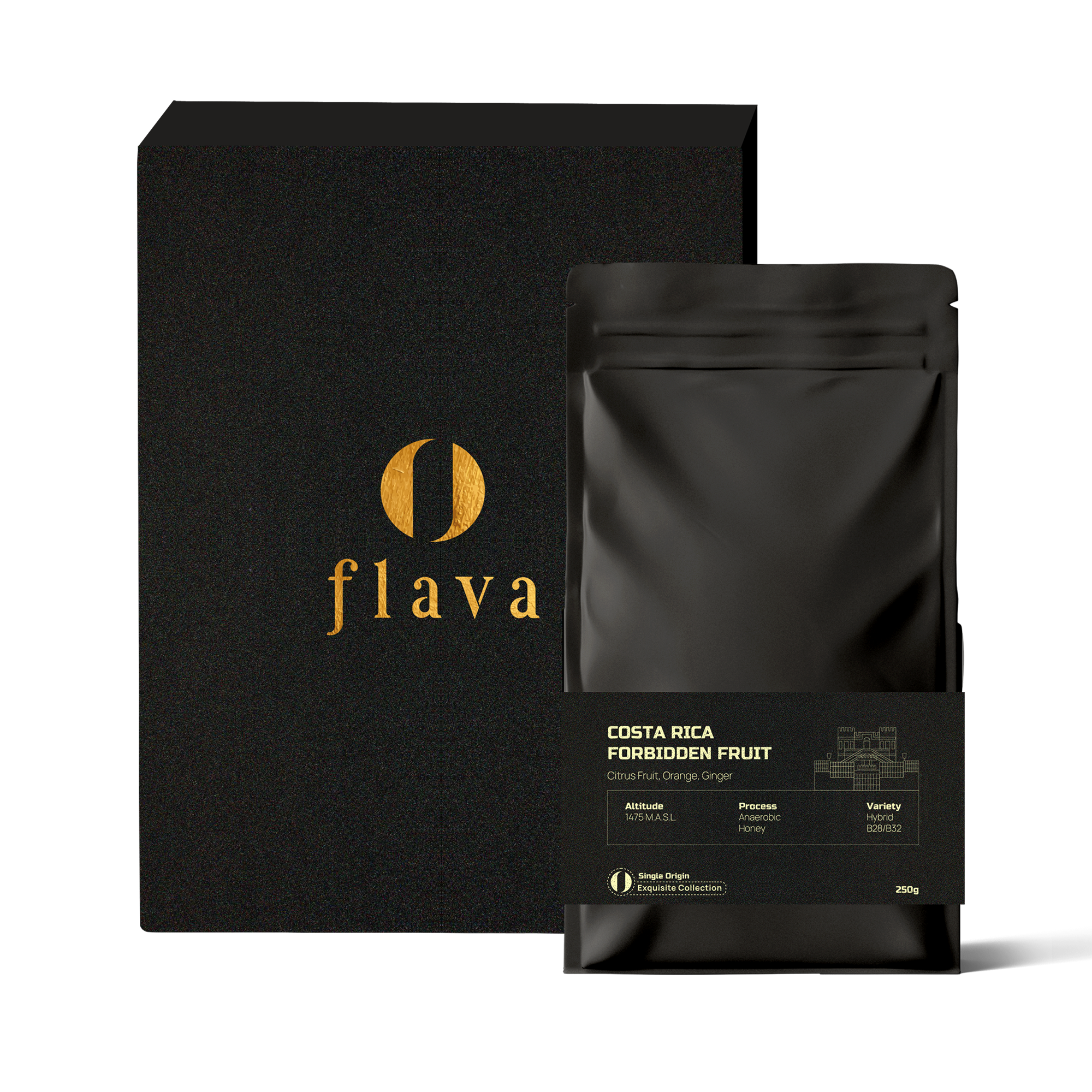 Costa Rica Forbidden Fruit Coffee Beans