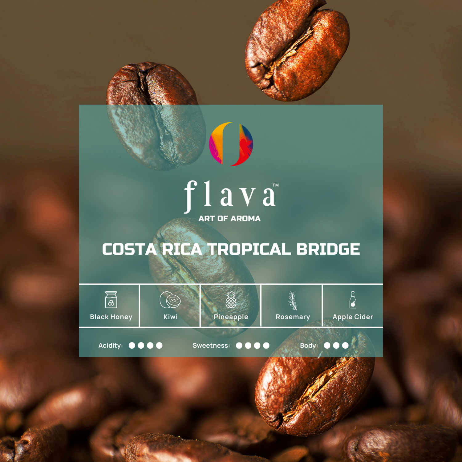 Costa Rica Tropical Bridge