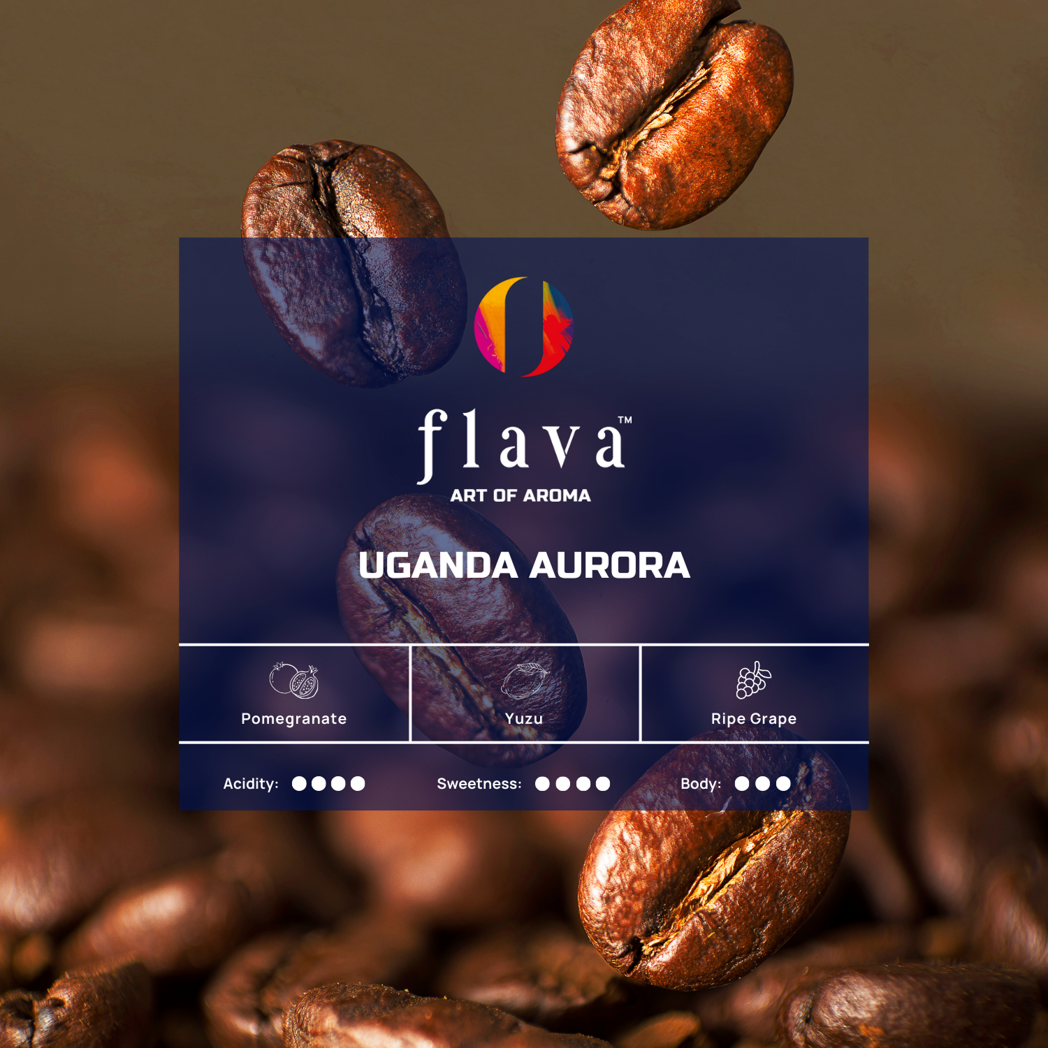 Uganda Aurora