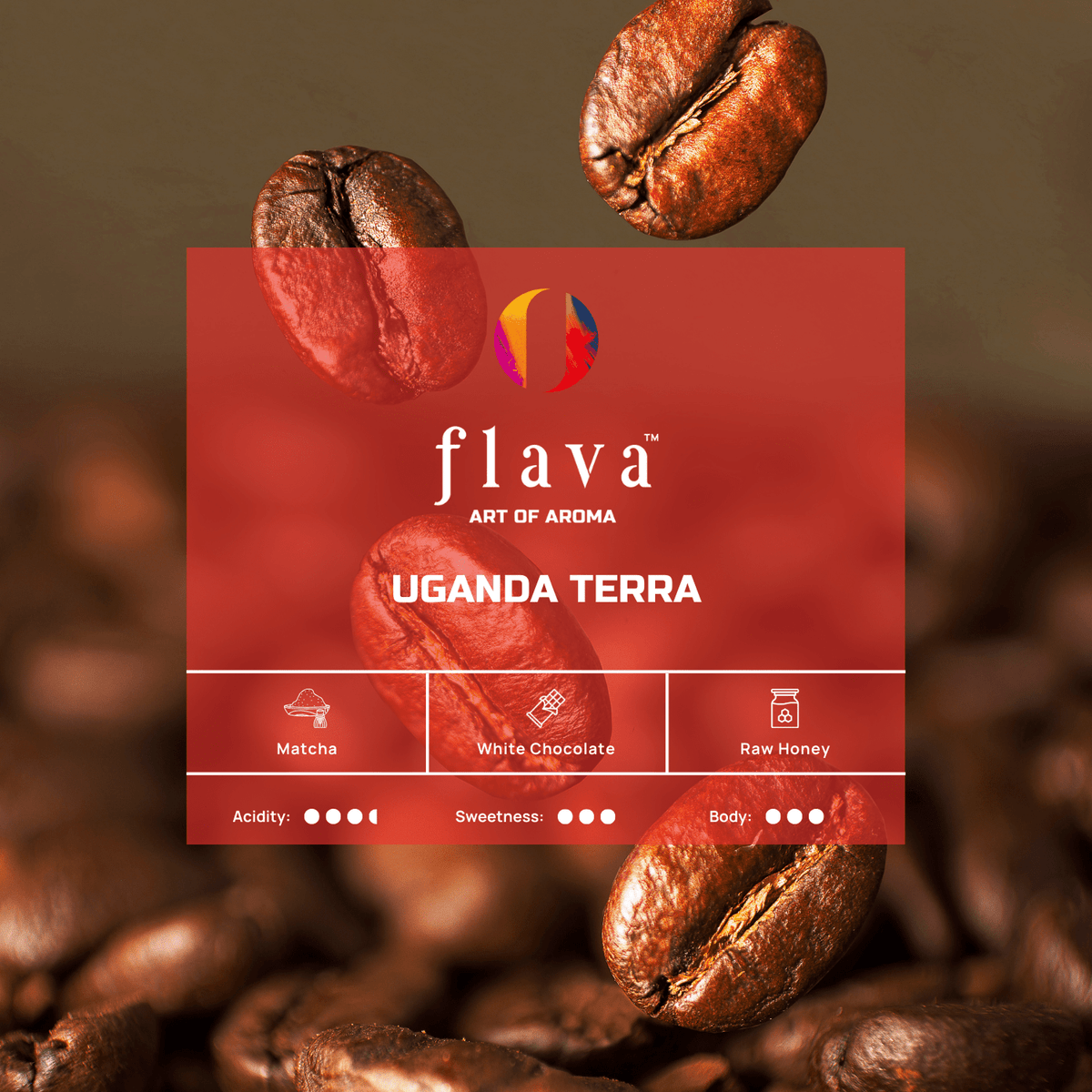 Uganda Terra Drip Bags - Flava Coffee